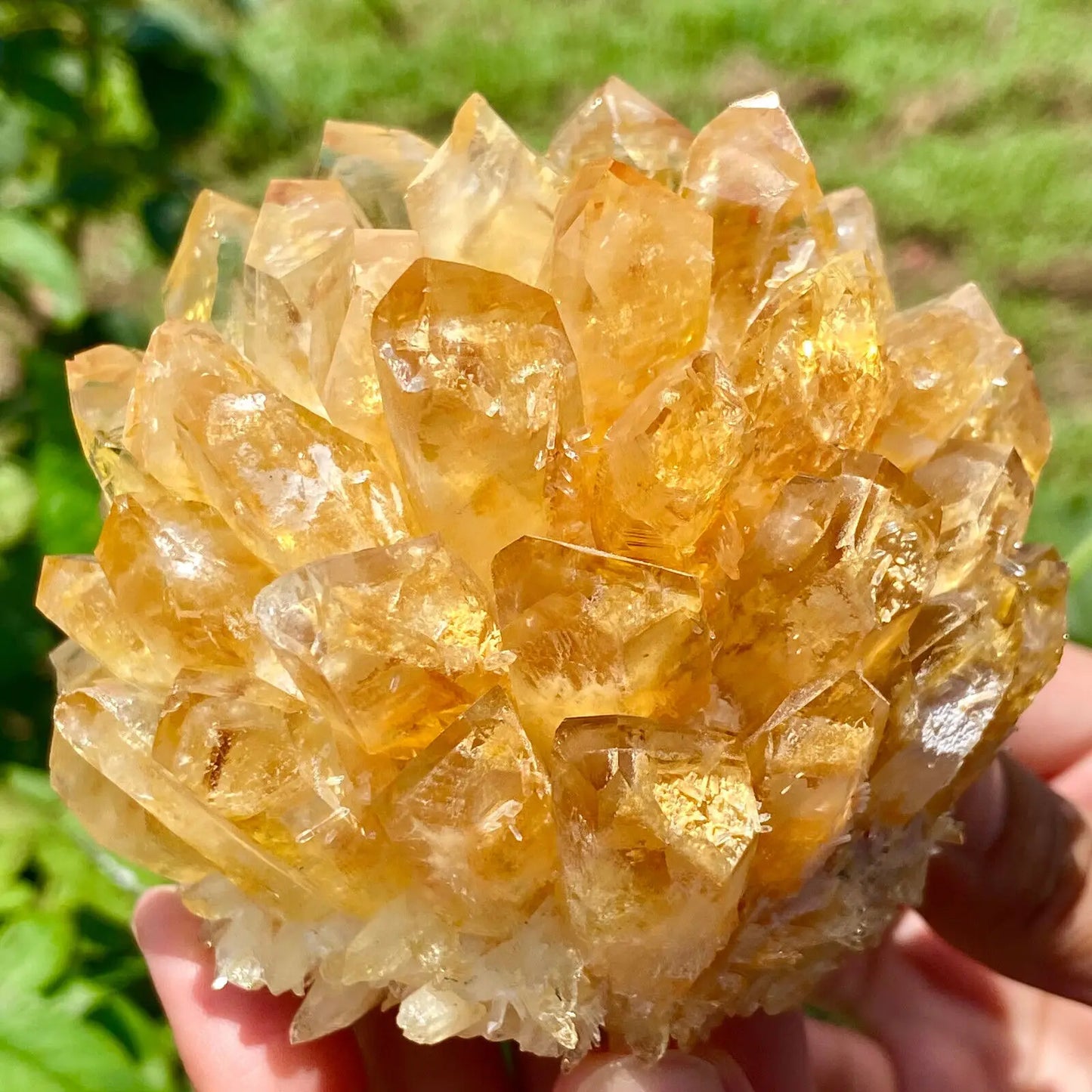 Drusa de Quartzo Amarelo Phantom